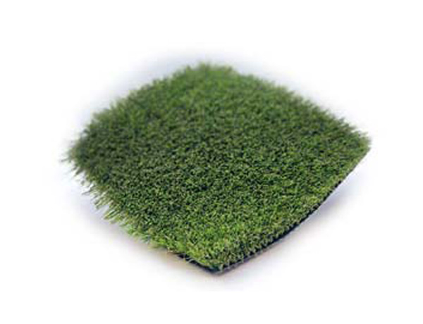 Merion Eternity Turf