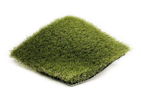  Sun Beam Turf Image