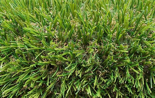 Eternity Turf Artificial Grass Blade Closeup